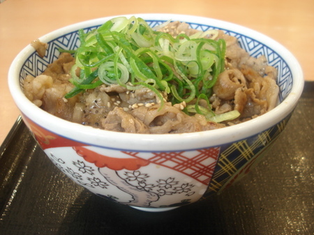 yoshinoya-negishio-gyu-karubidon01.jpg