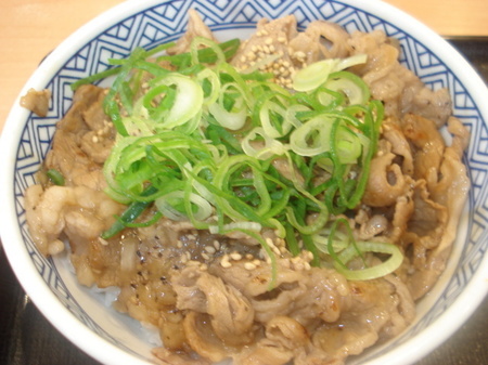 yoshinoya-negishio-gyu-karubidon04.jpg